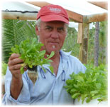 Hydroponic Lettuce Pot